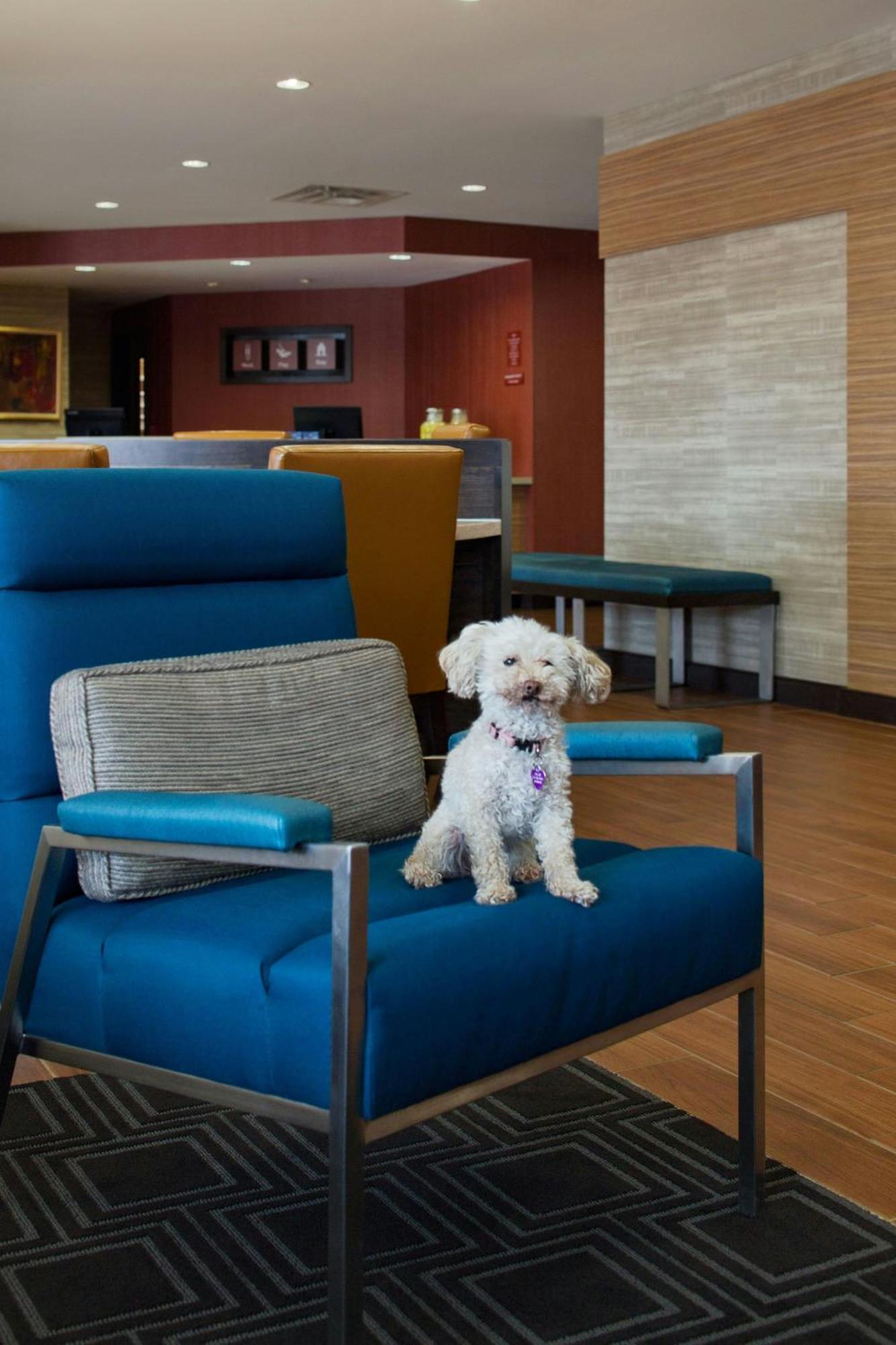 Towneplace Suites By Marriott Austin Round Rock Exterior foto